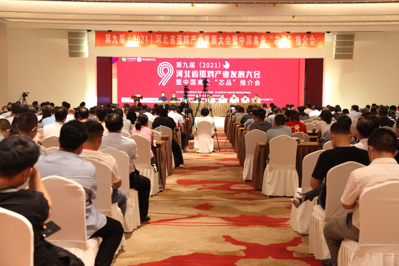 北农大公司受邀出席第九届河北省蛋鸡产业发展大会