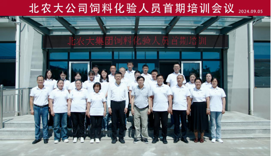 17274151609143.png image.png