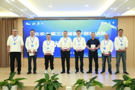 17274158921022.png image.png