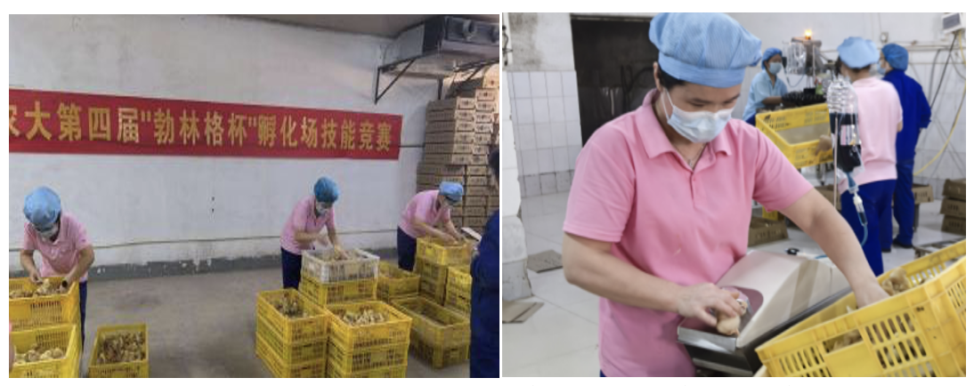 17310589163986.png image.png