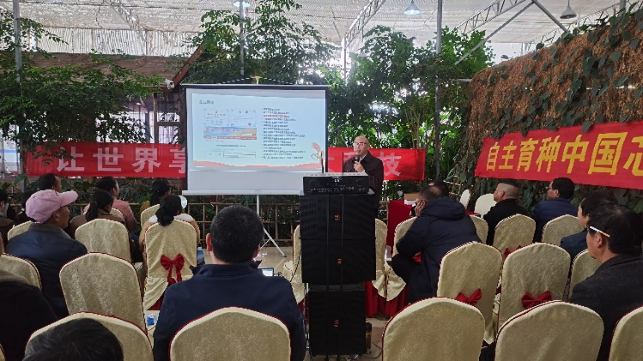 17334780907479.png 17334780907479.png