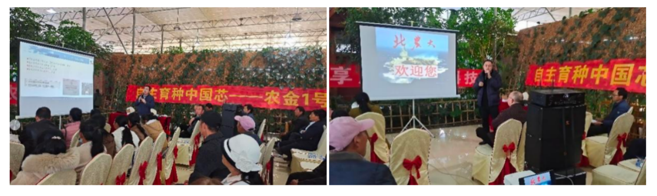 17334781136828.png 17334781136828.png