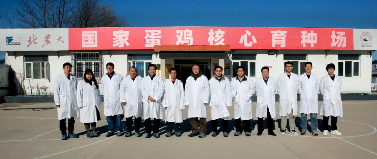 17334807837890.png 17334807837890.png