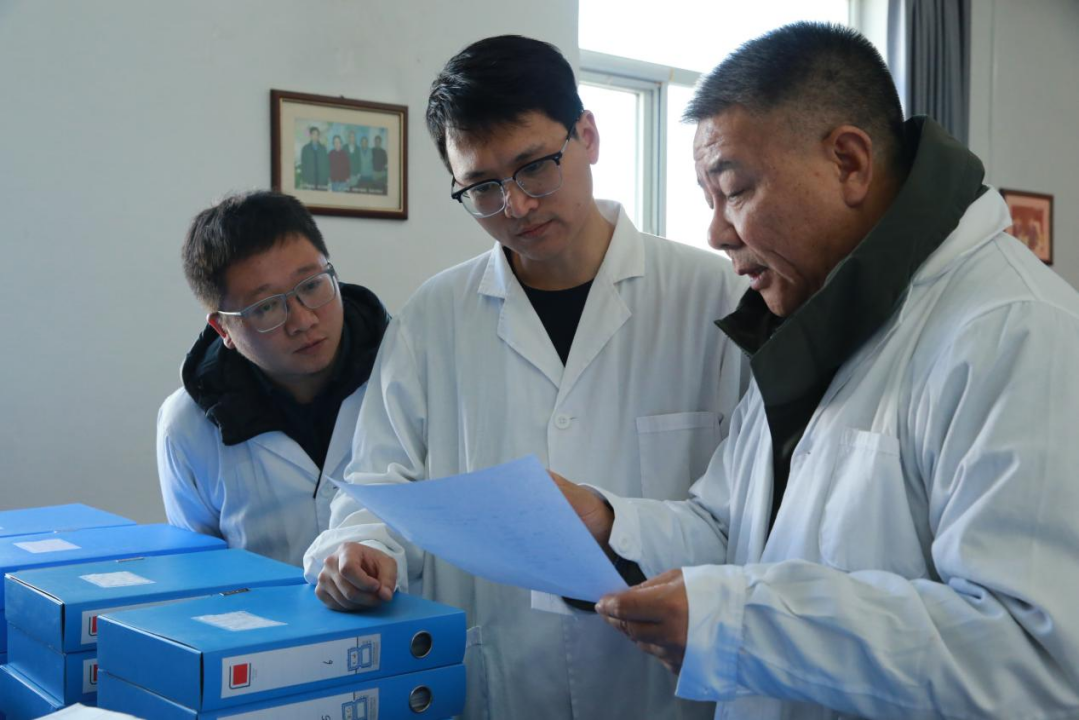 17334808073685.png 17334808073685.png