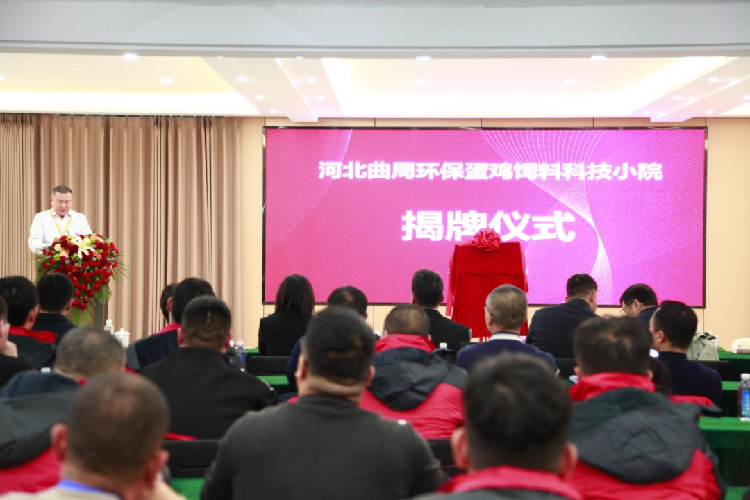 17334814972288.png 17334814972288.png