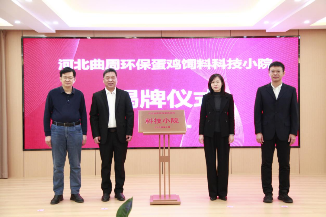 17334815507825.png 17334815507825.png