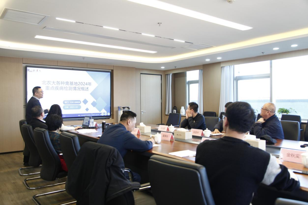 17412265312960.png image.png