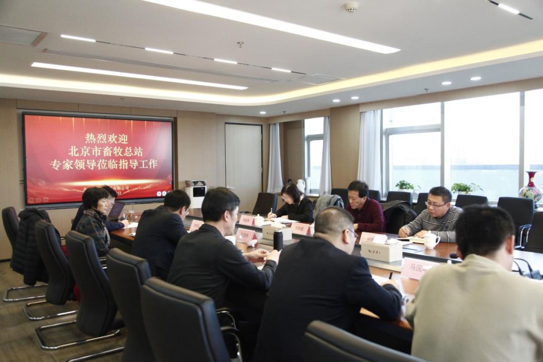 17412269696205.png image.png