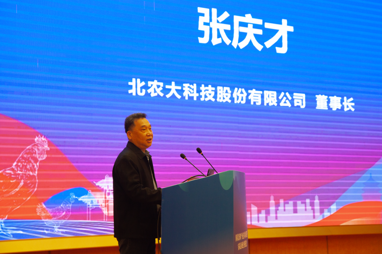 17642902181236.png 董.png